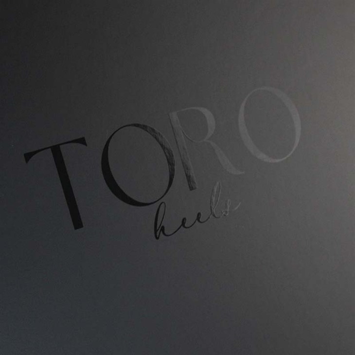 folding box with magnetic closure (5)