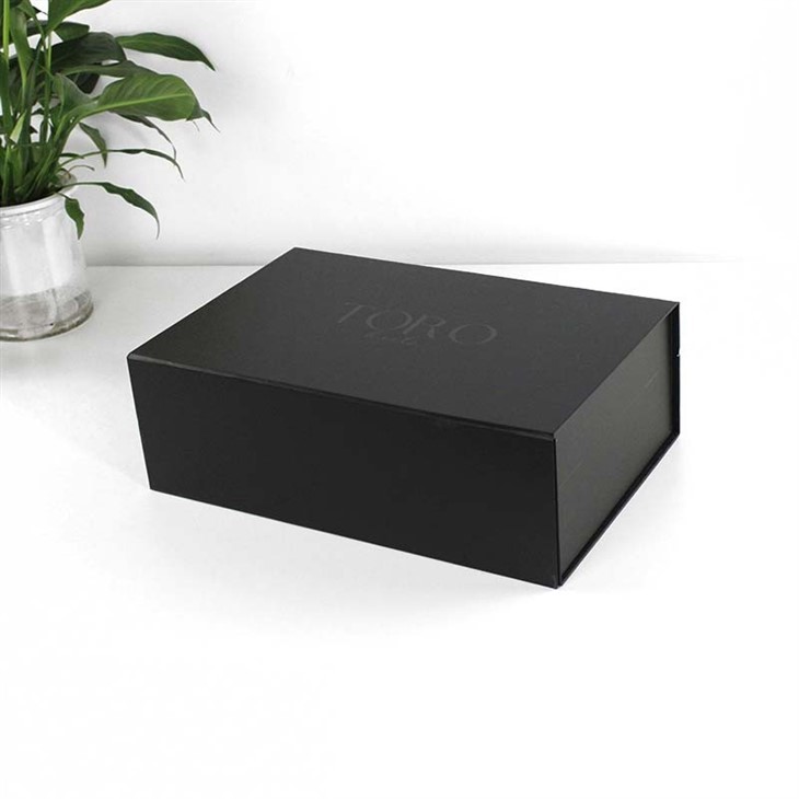 folding box with magnetic closure (2)